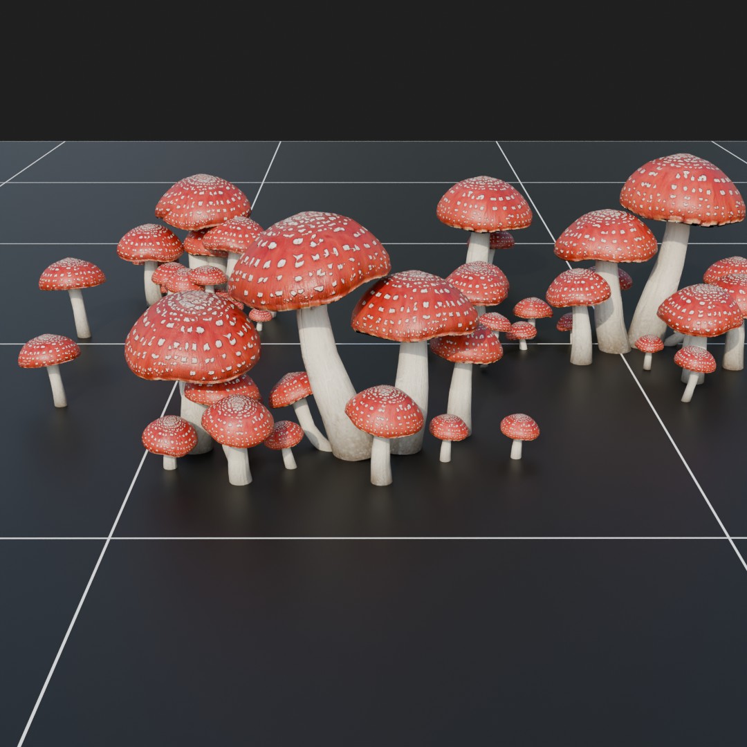 Forest Floor Mushroom Collection 1
